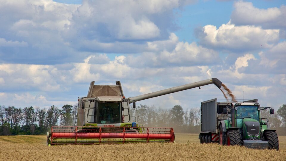 Ucrania reanudó la actividad en sus puertos para exportar cereales  | La liberación de más de 20 millones de toneladas de granos buscará aliviar la crisis alimentaria mundial