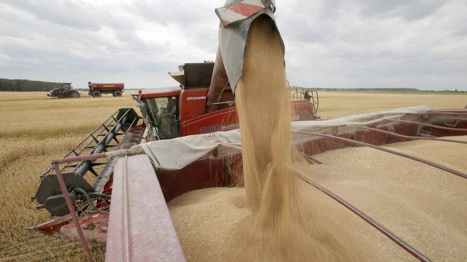 Menos exportaciones de cereales rusos