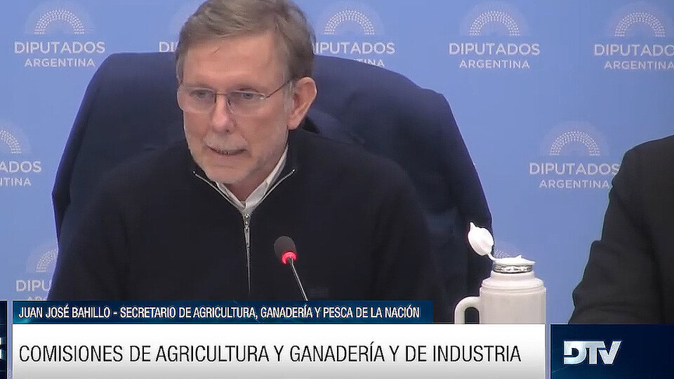 Bahillo en Diputados: “La Ley Agroindustrial ayudará al desarrollo de las economías regionales” | Avance del proyecto en plenario de comisiones