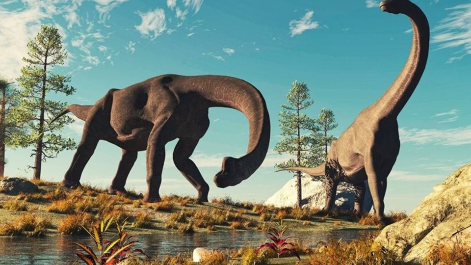 Portugal: encontró los restos de un dinosaurio en el patio de su casa | El más grande hallado en Europa | Página12 Portugal: encontró los restos de un dinosaurio en el patio de su casa | El más grande hallado en Europa | Página12