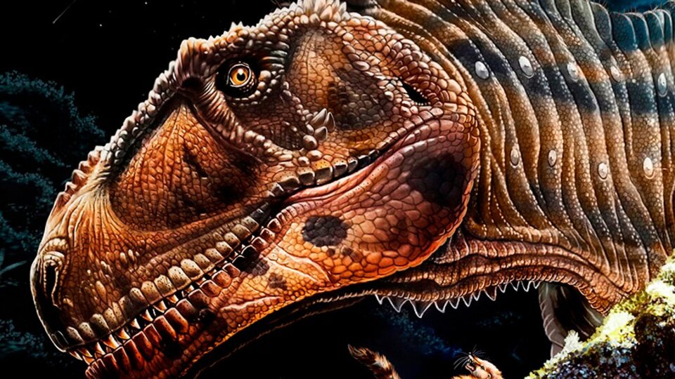 Hallan en Neuquén una nueva especie de dinosaurio depredador | Se alimentaba de animales herbívoros | Página12 Hallan en Neuquén una nueva especie de dinosaurio depredador | Se alimentaba de animales herbívoros | Página12