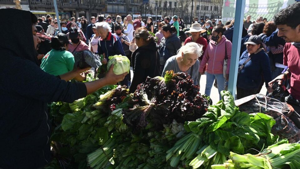 “Verdurazo” frente al Congreso
para reclamar por el acceso a la tierra | Organizaciones sociales presentaron un conjuntos del proyectos legislativos