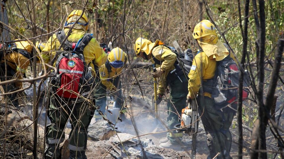 Continúan Activos Focos En La Selva De Yungas, Donde Ya Se Quemaron Más ...