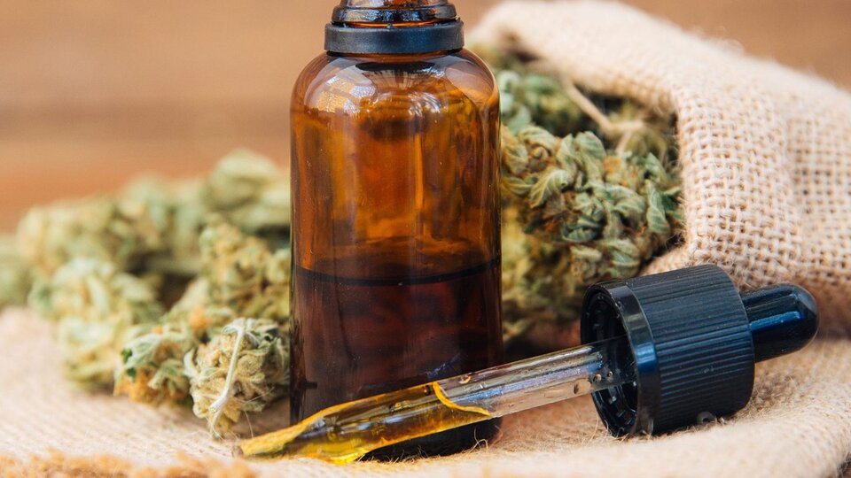 Indagheranno sull’uso della cannabis medica nel trattamento dell’emicrania |  Centro di ricerca sulla medicina trasformazionale