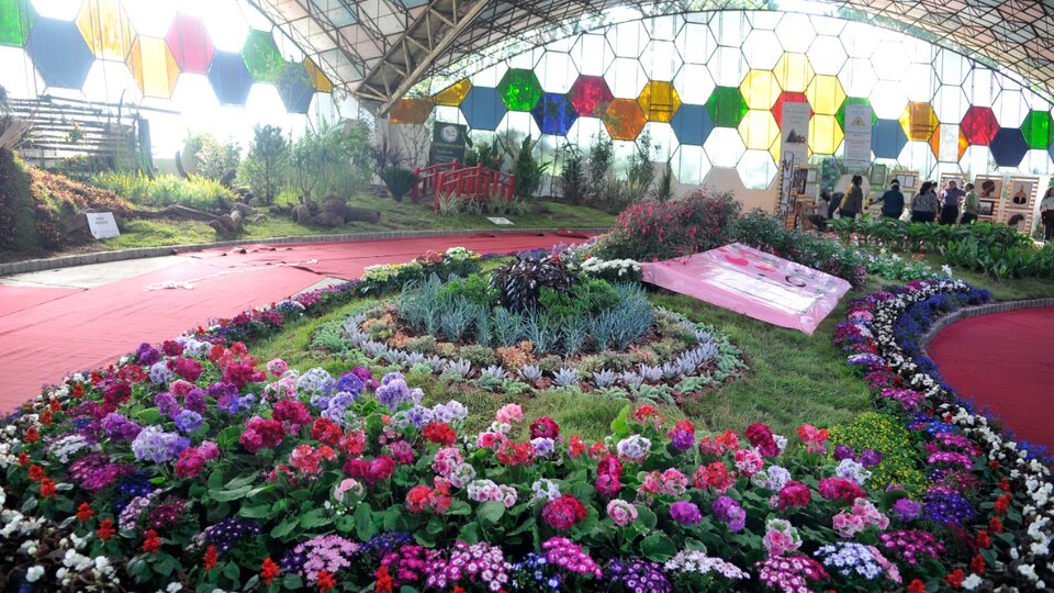 Una cita con los colores y los olores del mundo | Fiesta Nacional de la  Flor en Escobar | Página12