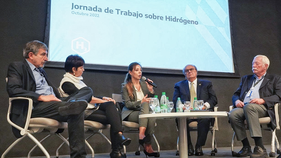Mendiguren destac&oacute; la importancia estrat&eacute;gica del desarrollo del hidr&oacute;geno en Argentina