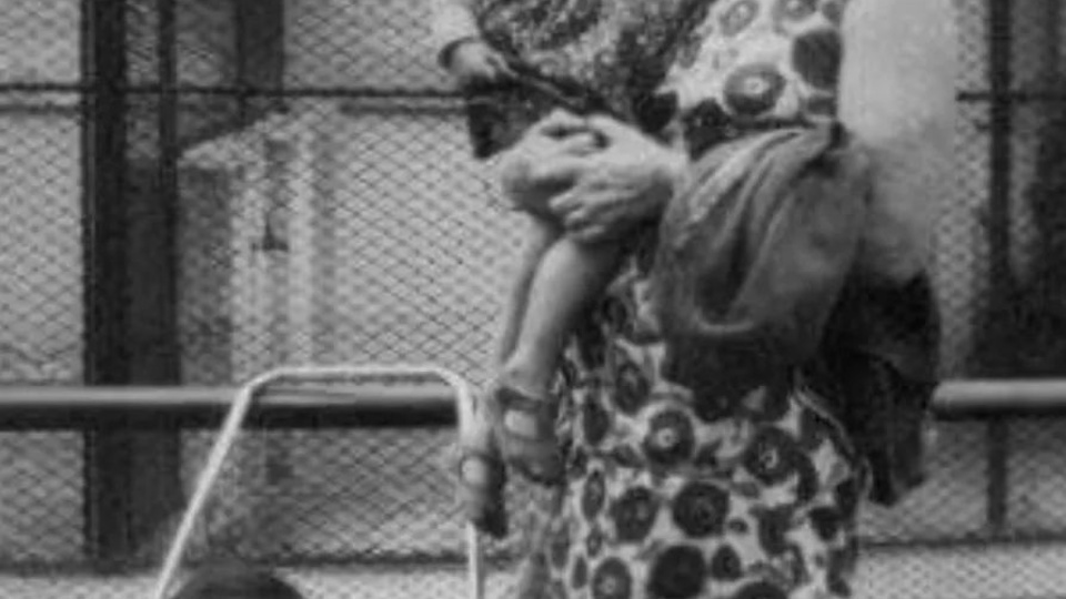 ABUELAS ABUELAS