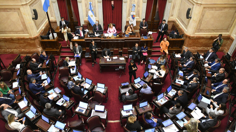 El Senado aprobó la prórroga y la reforma de la ley de barrios populares | La norma impulsa las urbanizaciones y prohíbe los desalojos por 10 años