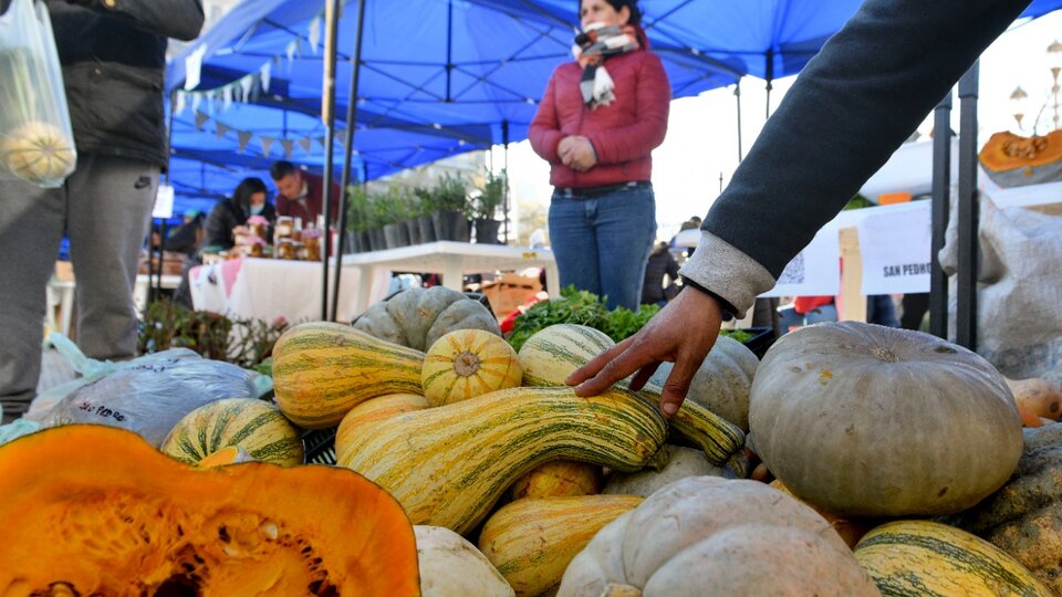 Crece la mesa del campo que alimenta