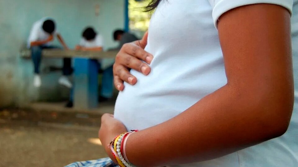 Los embarazos adolescentes disminuyeron 55% entre 2015 y 2020 | "La fecundidad bajó en todas las edades, pero bajó sobre todo en las menores de 20", señala un informe | Página12