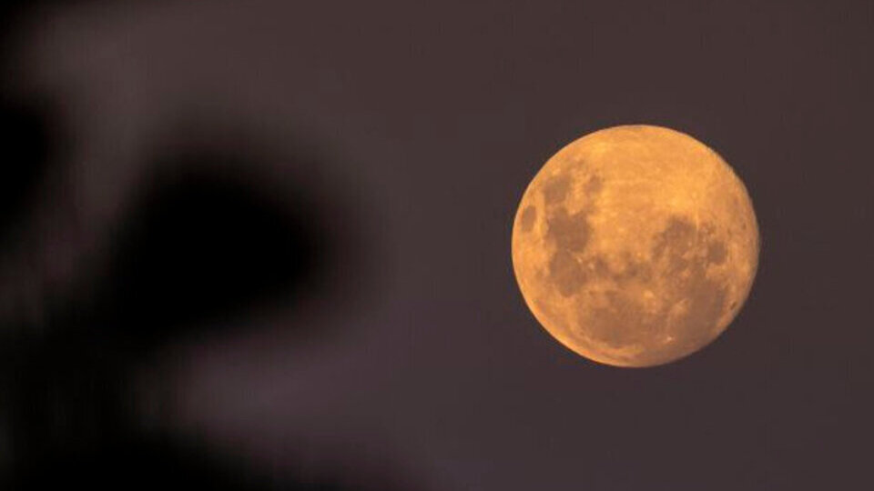 Luna de Lobo 2023 cuándo será la primera luna llena de enero Por qué