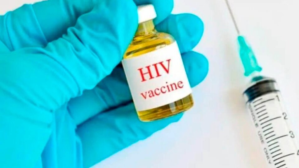 Vaccino contro l’HIV: annullato il progetto Mosaico |  Questo annuncio è arrivato nella fase finale del processo