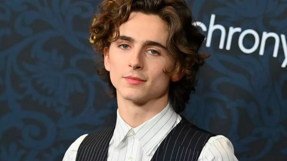 Timothée Chalamet Será Bob Dylan | En Una Biopic De James Mangold ...