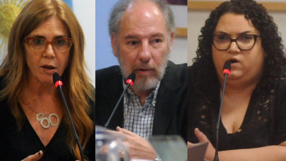 Tres periodistas de PáginaI12 expusieron en el Juicio Político a la Corte  | Irina Hauser, Luciana Bertoia y Martín Granovsky ante los diputados