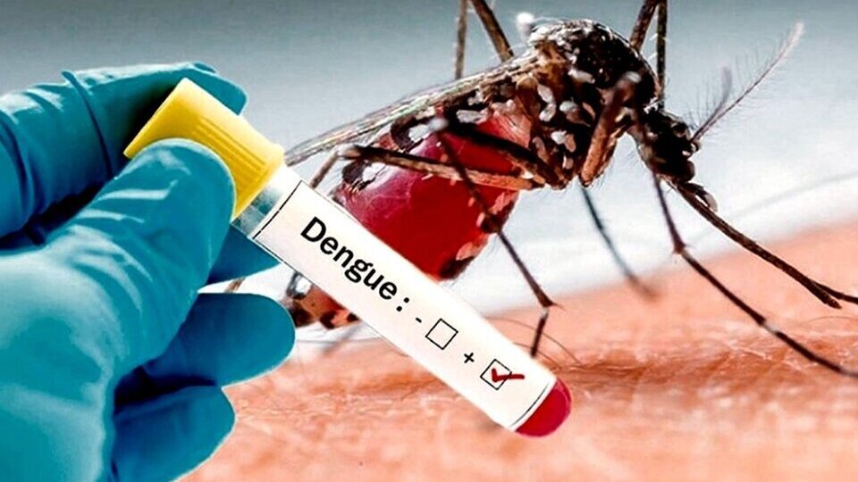 Al Anmat aveva approvato l’uso di un vaccino contro la dengue  per più di 4 anni