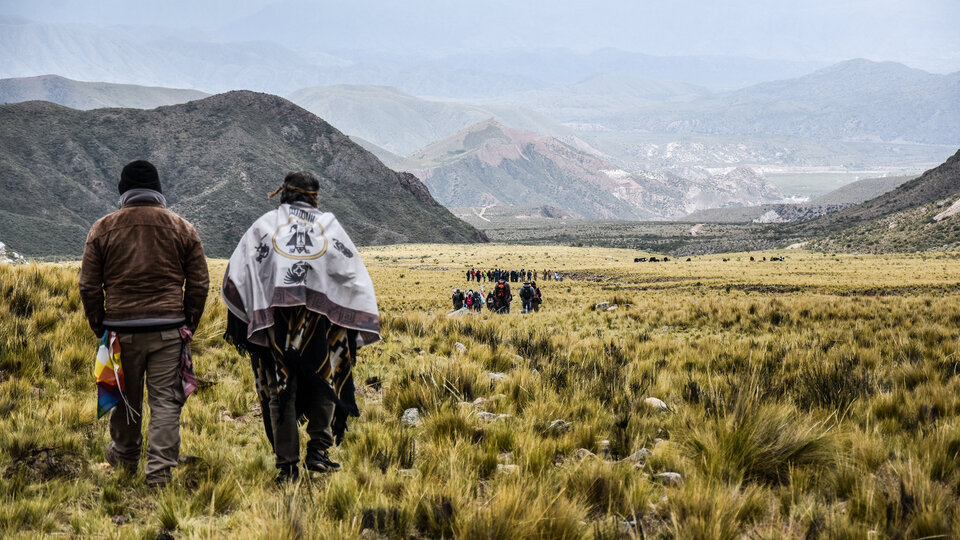 Un incedere originale che non si ferma mai |  Il percorso degli antenati andini di Qhapaq Ñan e della progressione