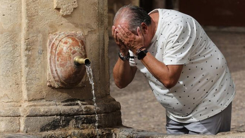 Especialistas atribuem onda de calor em Espanha e Portugal às alterações climáticas |  As consequências do aquecimento global