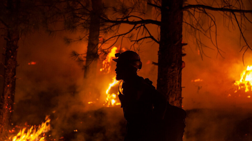 25,000 people evacuated due to forest fires in Canada |  More than 120,000 hectares burned in the province of Alberta