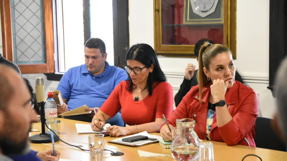 Un edificio en avenida Alberdi Debate en el Concejo Municipal Página12