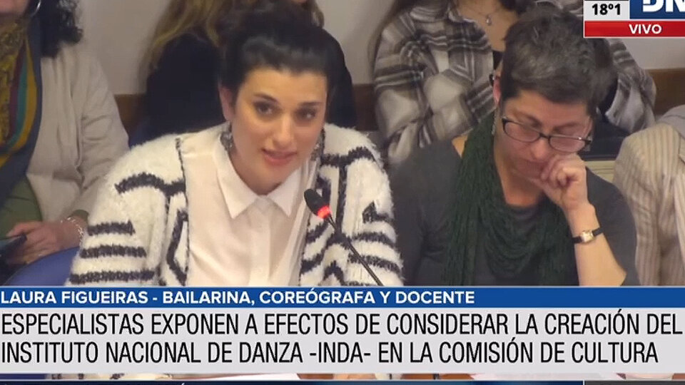 La Comisión de Cultura inició con expositores el debate sobre una Ley Nacional de Danza