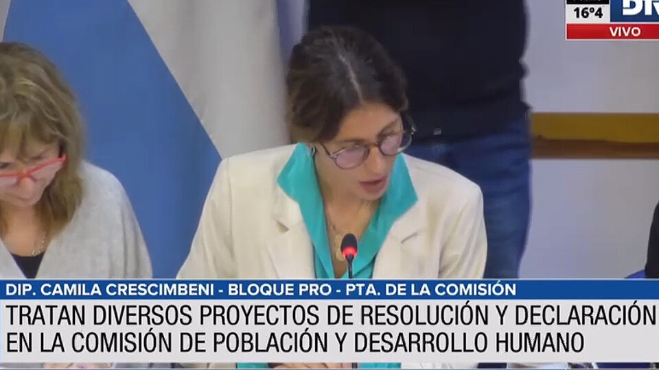 La Comisión de Población y Desarrollo Humano aprobó una batería de proyectos