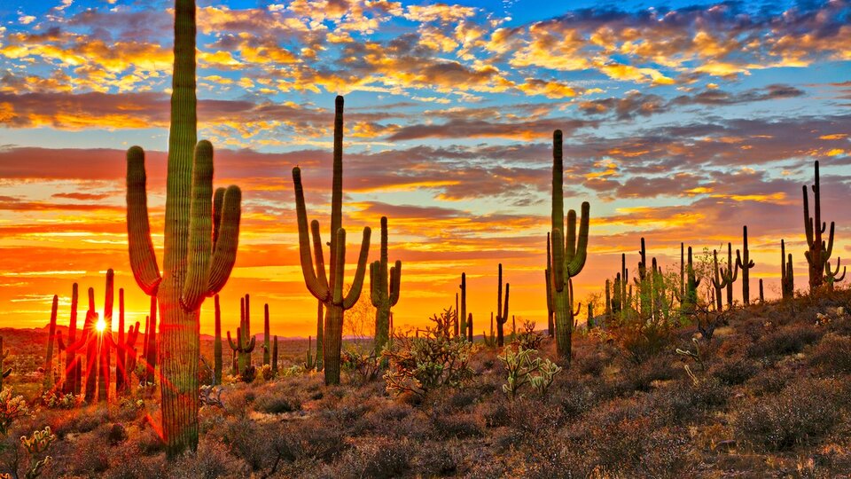 Me arde: una región de México superó los 80 grados, según la NASA | Fue catalogado como el lugar más caluroso del mundo  