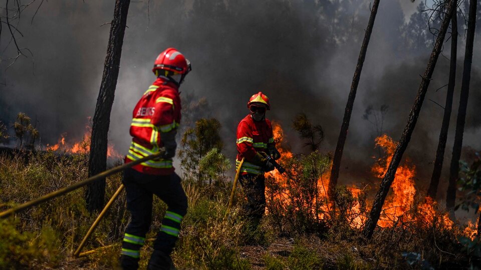 Portugal: Mil bombeiros contra o incêndio |  Incêndio florestal já deixou 11 feridos