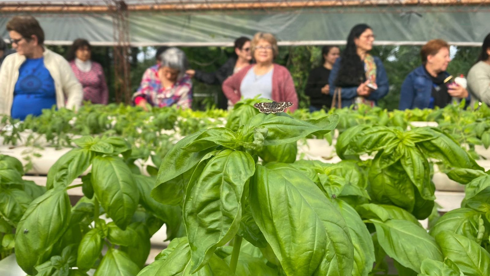 Santa Fe specialists develop ecological inputs for agricultural production |  They make fertilizers, insecticides and pesticides with vegetable raw material