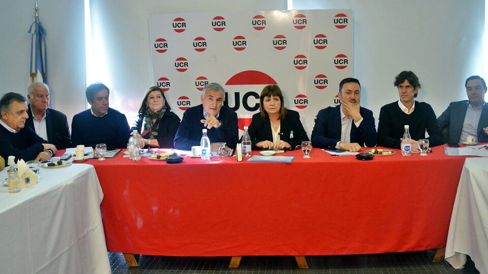 Bullrich sale a levantar heridos y reperfila la campaña para no perder más votos | Foto de familia en el comité radical y Melconián para despeinar a Milei