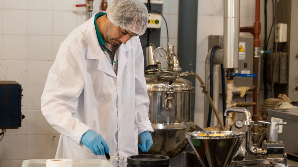 Des scientifiques créent des yaourts, des pâtes à tartiner et des desserts avec des déchets industriels |  Le lactosérum est le principal résidu de la production fromagère