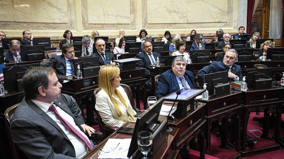 Senado: El debate de Alquileres entró en pausa