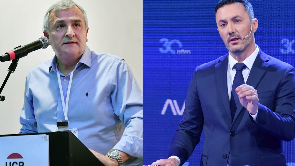 Nuevo round en la interna de JXC: Petri salió en defensa de Macri y lo cruzó a Morales | El gobernador había criticado los guiños del exmandatario a Milei