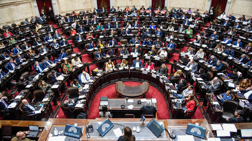 Cuántas bancas se renuevan en la Cámara de Diputados y el Senado |  Elecciones Argentina 2023 | Página|12