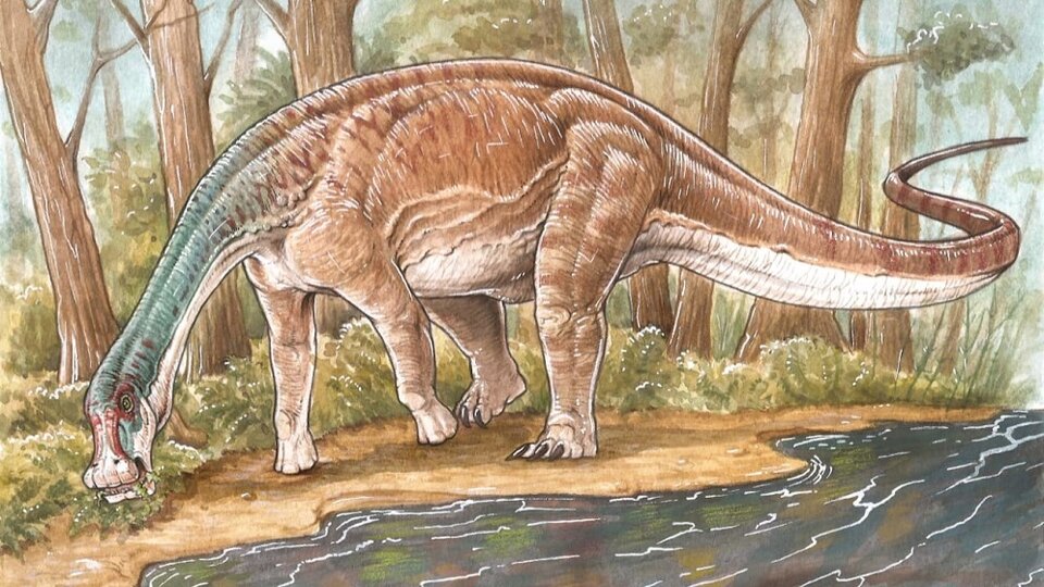 Les scientifiques du CONICET ont découvert une nouvelle espèce de dinosaure titanosaure |  À Neuquén