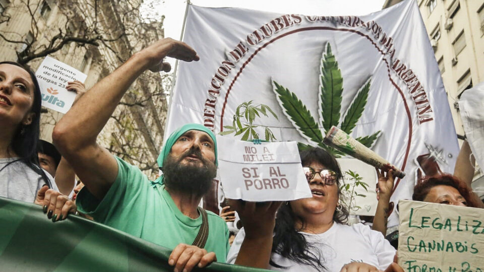Argentina marcha por la marihuana : Indybay