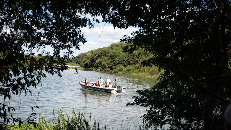 Entre Ríos creó un nuevo Parque Natural Provincial sobre el río Uruguay |  Hay 4000 hectáreas de islas, humedales, pastizales y bosques ribereños.