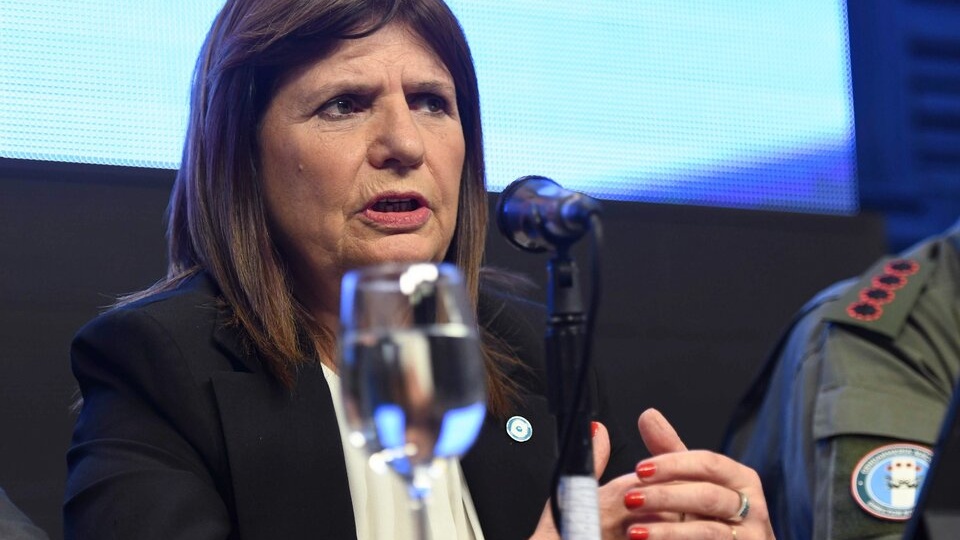 Patricia Bullrich Comparte Una Costumbre Con Javier Milei: Falsear ...