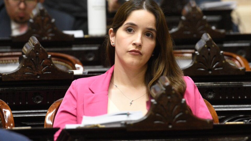 Otro bochorno legislativo de La Libertad Avanza: el proyecto flojo de firmas contra el aborto legal | La autora Rocío Bonacci admitió que reunió “acompañamientos” por WhatsApp