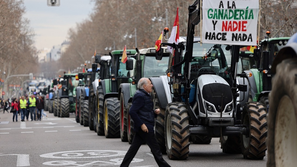 España: tractorazo en defensa del campo