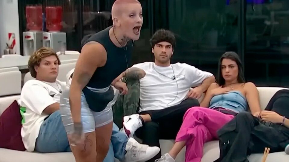 Violence as entertainment |  Big Brother, in the eye of criticism