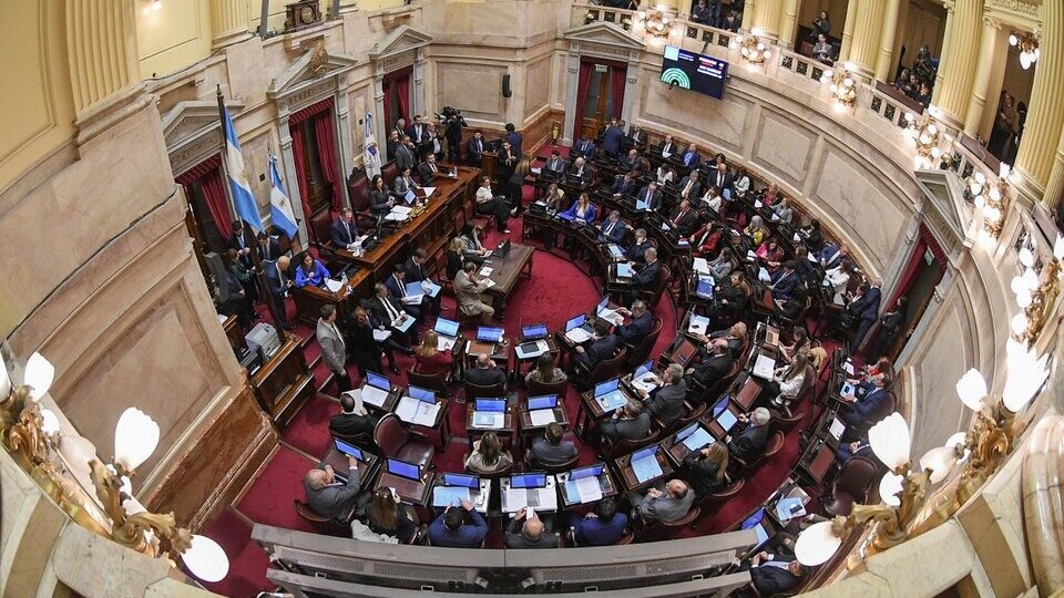 Se aprobó la Ley Bases en el Senado: quiénes votaron a favor y quiénes en  contra | Cómo fue la votación en la Cámara Alta | Página|12