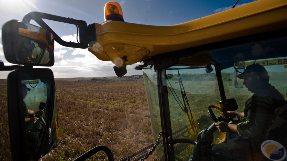 La soja y el maíz siguen en baja