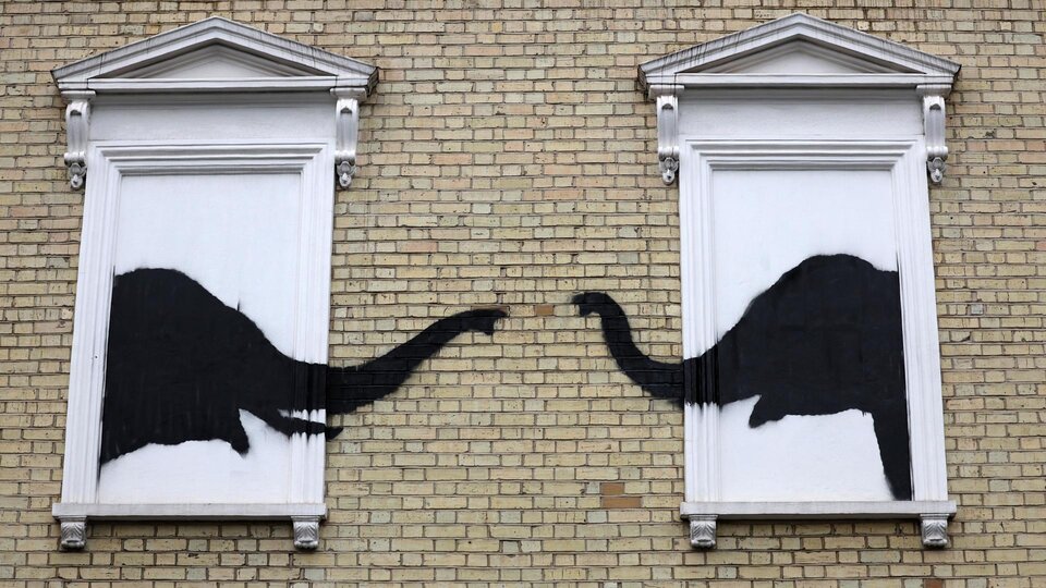 Banksy reveals three new graffiti with animals as protagonists | A series of works of art in London