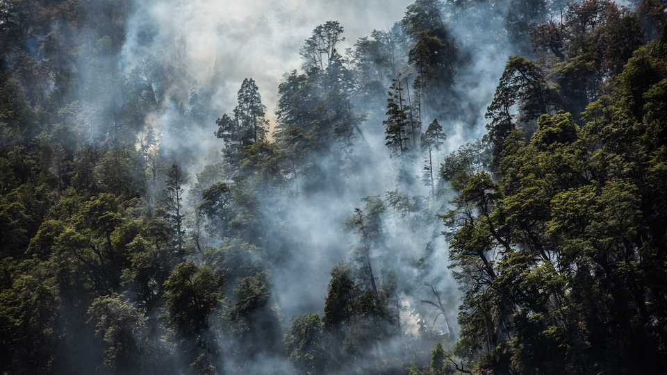 Incendios forestales: qué se espera para el verano y cómo se prepara el Gobierno