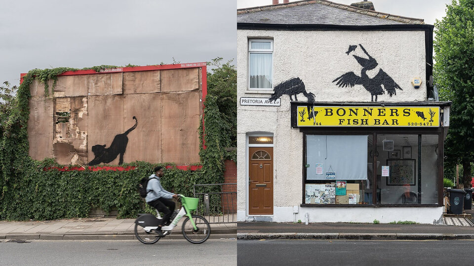 Banksy’s ‘zoo’ is getting bigger: he confirmed the authorship of two new graffiti in London | A cat and two pelicans