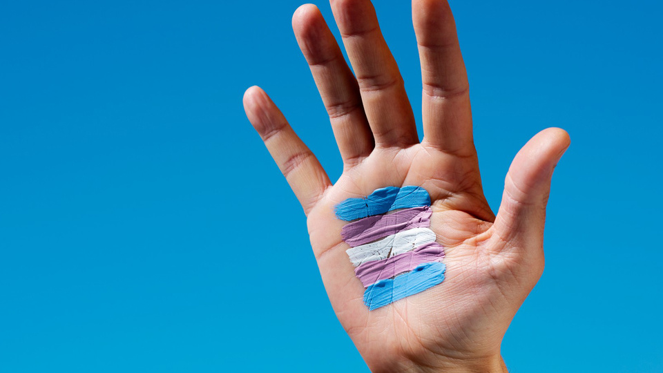 Drama en Argentina: Niños y Adolescentes Trans Luchan por Acceso a la Salud en Medio de Controversias Legales