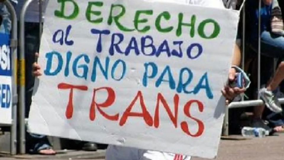 Un fallo restituyó a cinco trabajadores trans despedidos del Incaa | El  organismo no respetaba el cupo laboral que establece la ley | Página|12