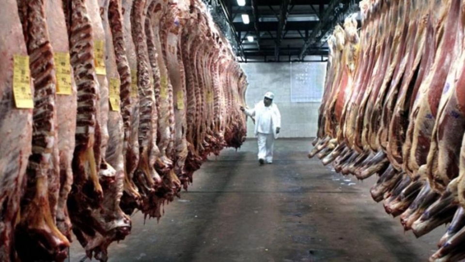「ワクチン肉の無駄」|それはより低い体重の虐殺に使用できます