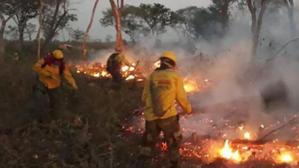 Un incendio que es desastre forestal en Bolivia | El fuego arrasó más de  460 mil hectáreas en Santa Cruz de la Sierra | Página12