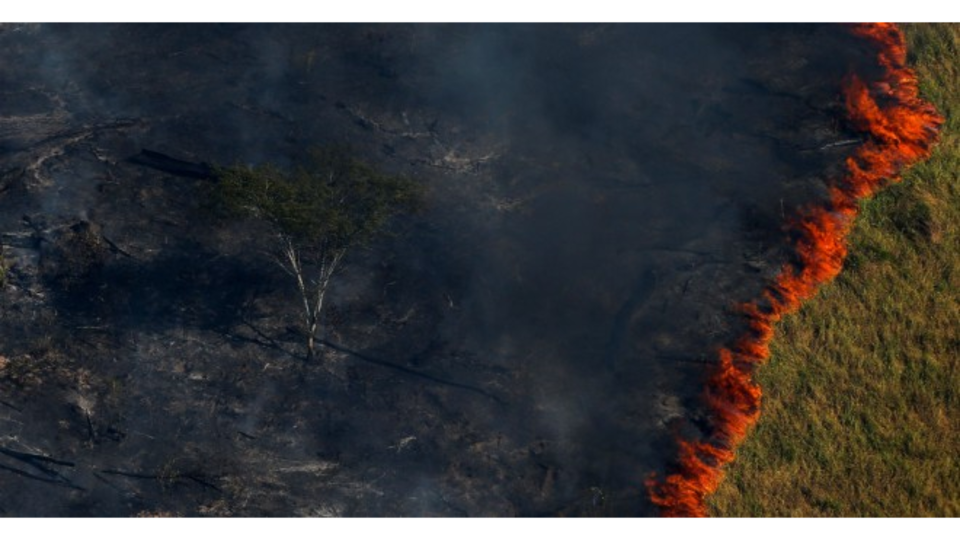 Un bosque en llamas durante la &#39;Operación Ola Verde&#39; para combatir la tala ilegal en la sureña región del estado de Amazonas.